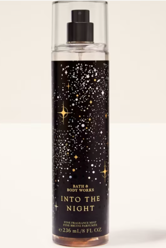 Into The Night.png